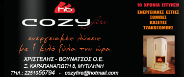 Cozy_Fire_live